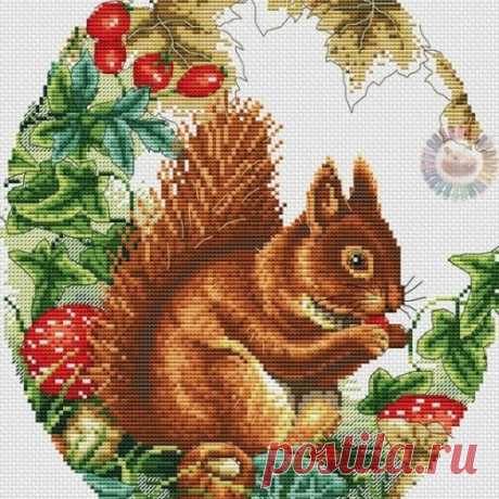 СТЕЖОК, ЕЩЁ СТЕЖОК. Белочка на ветке