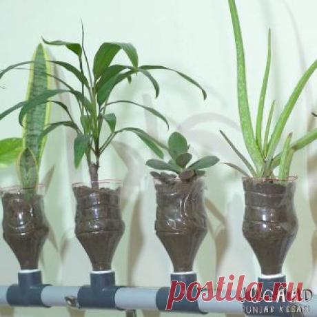 Self Watering System for Plants