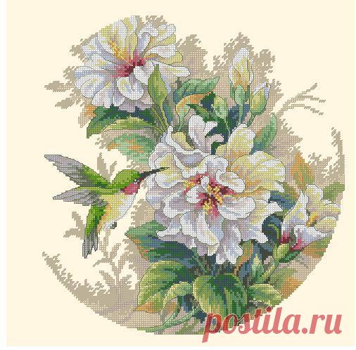 Вышивка крестом коллибри. Бесплатный каталог схем для вышивки крестом |