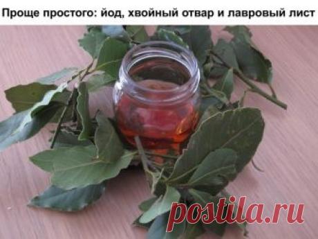 Проще простого: йод, хвойный отвар и лавровый лист. Проще простого: йод, хвойный отвар и лавровый лист. Бабушкины рецепты.

Мне уже 76 лет, много пережито и испытано в жизни, столько болезней перенесла. Вот и хочу поделиться опытом. Как я излечила зоб. Выросла я на реке Ангаре, в воде которой очень мало йода. Наверное, в этом одна из причин того, что зоб - довольно распространенное заболевание среди жителей тех краев. Когда попала в Иркутскую областную клинику на консульта...