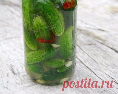 Холодные огурчики