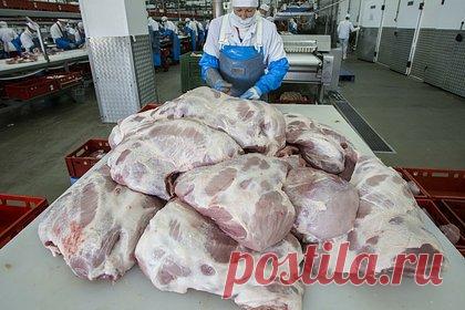 Названы сроки начала поставок свинины из России в Китай. Поставки свинины из России в Китай начнутся в ближайшие два месяца. Об этом сообщил руководитель Россельхознадзора Сергей Данкверт. Сейчас проводится аттестация предприятий, после чего продукция будет отправлена на экспорт. В Россельхознадзоре объяснили, что КНР потребляет непривычные для россиян части свинины.