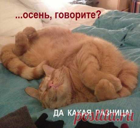 ᴼᴿᴵᴳᴵᴺᴬᴸ   SМАЙЛИКИ   (ړײ)
˙·•●๑ რ√რ√რ​​​ܓܨ