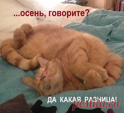 ᴼᴿᴵᴳᴵᴺᴬᴸ   SМАЙЛИКИ   (ړײ)
˙·•●๑ რ√რ√რ​​​ܓܨ