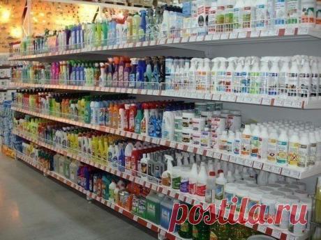 Шампуни и порошок. Что в них?