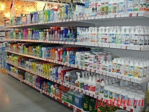 Шампуни и порошок. Что в них?