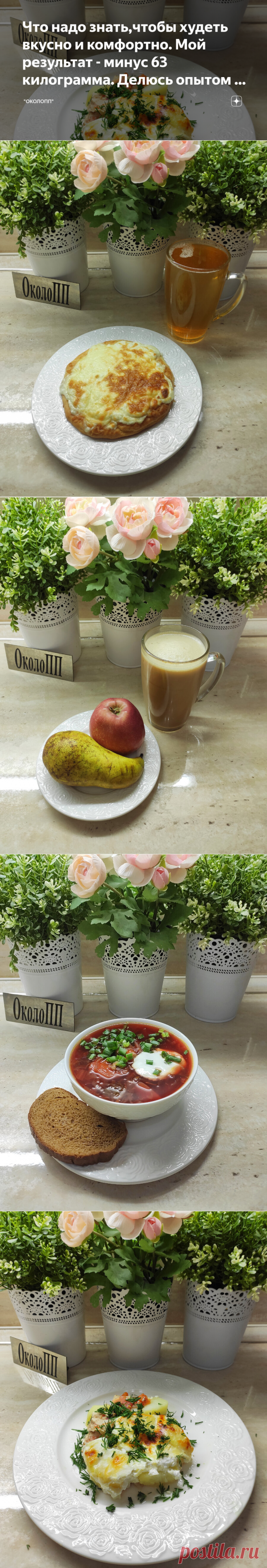 Что надо знать,чтобы худеть вкусно и комфортно. Мой результат - минус 63 килограмма. Делюсь опытом и меню на день. | 