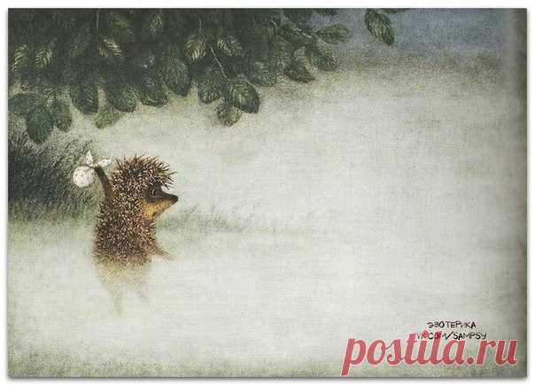 Иногда так хочется стать ёжиком, собрать в тряпочку всякую херню, повесить на палочку, палочку на плечо и медленно уйти в туман.