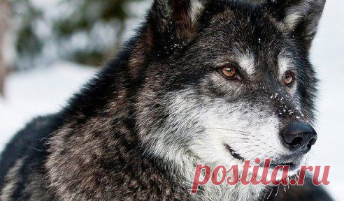 Наступает такой момент, когда надоедает прощать, просить, уговаривать, ссориться. Когда проще все послать нахер. Без слов.