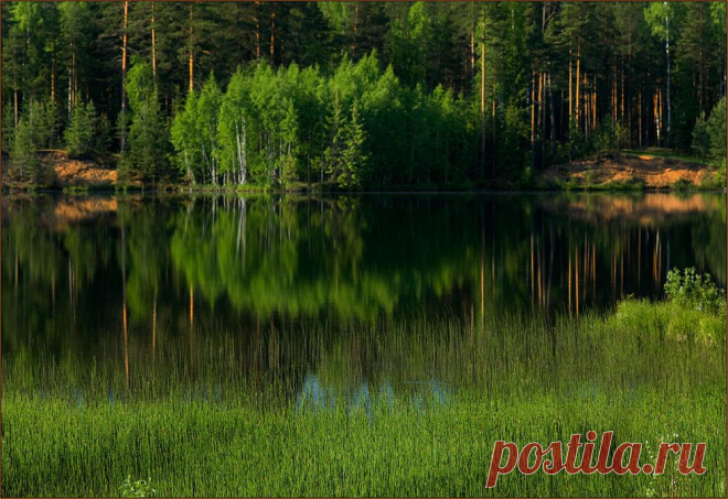 35PHOTO - izh Diletant (Валерий Щербина) - Берендеево царство... 2