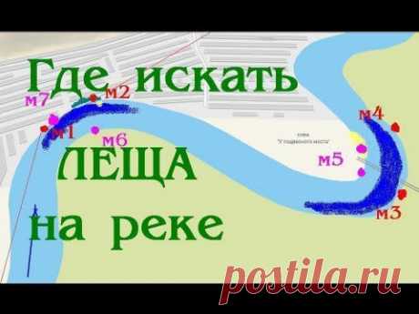 Рыбалка на пенопласт.  Места лова леща