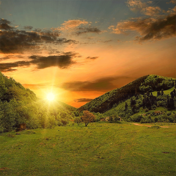 Zulya S - Google+