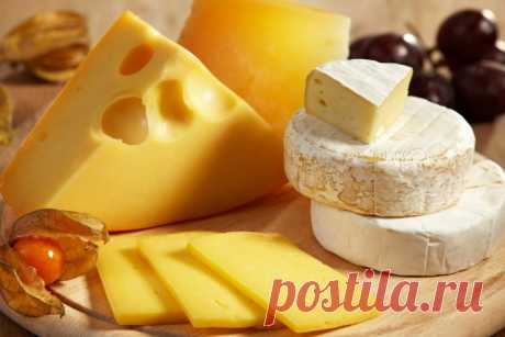 Эскулап: Жирный сыр позволяет снизить показатели "вредного холестерина"