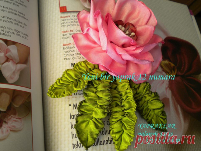 (5) Facebook