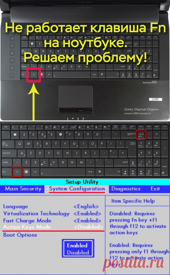Не работает кнопка fn на ноутбуке Asus и прочих моделях. Что в этом случае можно сделать и как её починить? Люди, которые привыкли работать на стационарных компьютерах, не всегда знают, что клавиатура Laptop имеет свои нюансы и отличия от обычной. Данные нюансы помогают более качественно управлять производительностью ноутбука.
Если вы забыли, где находится данная кнопочка, могу напомнить, что она находится в нижнем ряду слева вторая от клавиши Ctrl. Это хорошо видно на снимке. Но, довольно