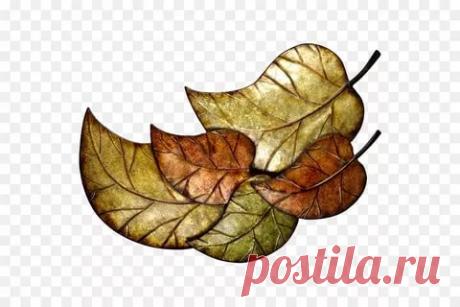 осенний декор png: 5 тыс изображений найдено в Яндекс.Картинках