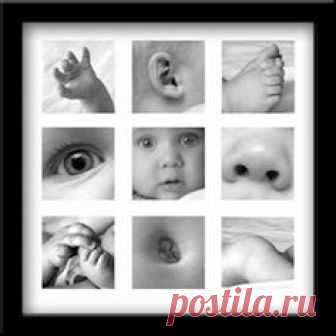 Baby parts :)