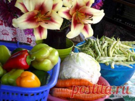 Важные советы для садоводов и огородников