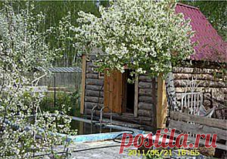 Как сделать бассейн на даче. | Загородная жизнь. Дачи