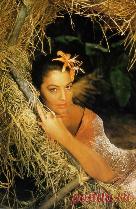The special edition: Ava Gardner: humus — ЖЖ