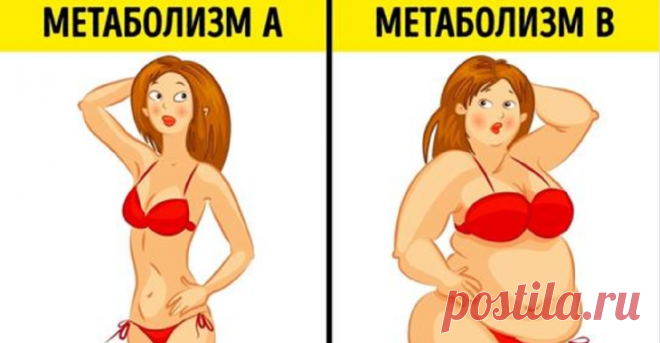 6 неочевидных фактов о метаболической диете, которые должна знать каждая женщина