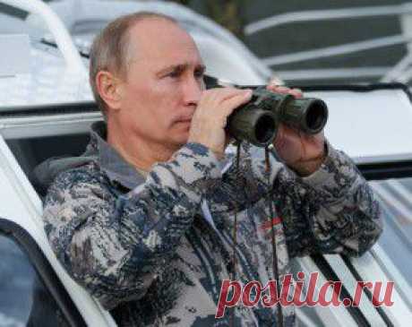 Темы дня