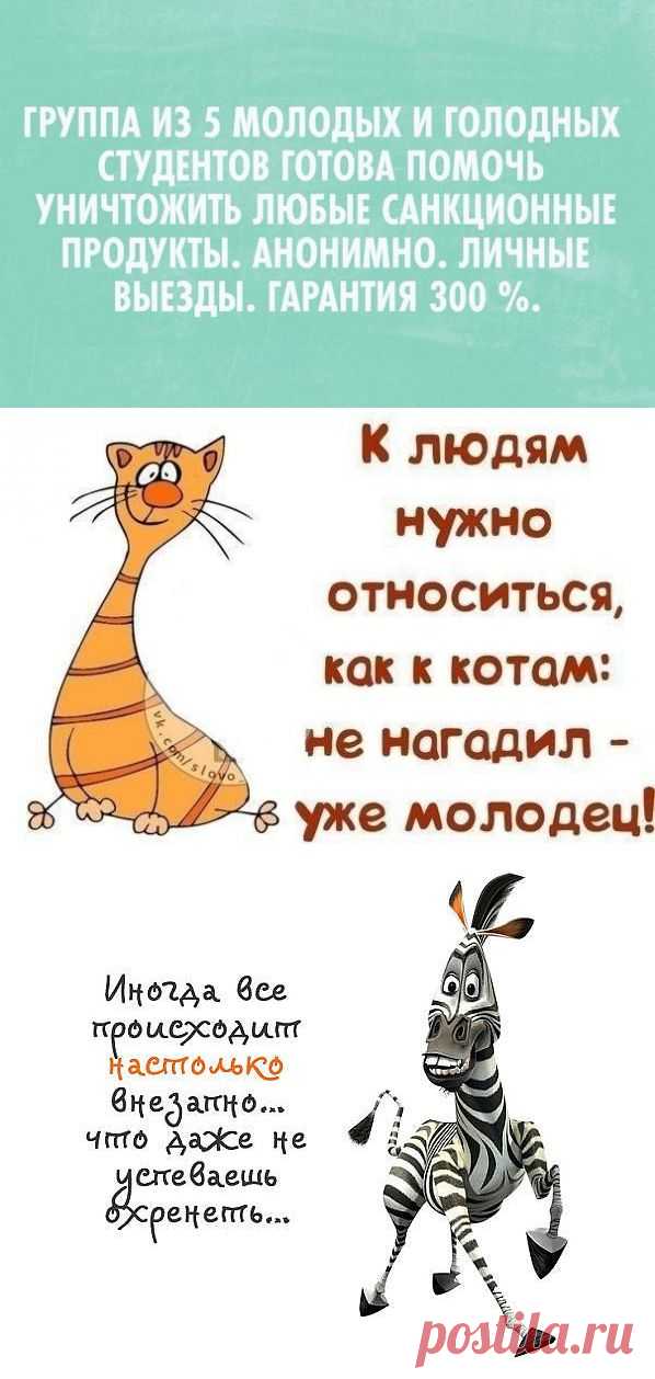 Идеи для творчества!часть 5.(из интернета) / Болталка / Интересные идеи для вдохновения