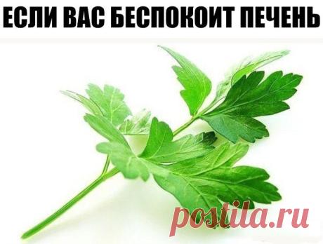 Если вас беспокоит печень, вы живете в неблагоприятных экологических условиях, часто болеете...
Тогда данный рецепт может вам пригодится.
Приготовленная вами по рецепту смесь расщепляет жиры (особенно вокруг печени), уменьшает аппетит, обладает мочегонными, противовирусными, противогрибковыми свойствами, позволяет сбросить пару-тройку лишних килограммов, укрепляет иммунитет, очищает, "растворяет" камни в почках и желчном пузыре, омолаживает кожу.
Что нужно делать. 
* Тщате...