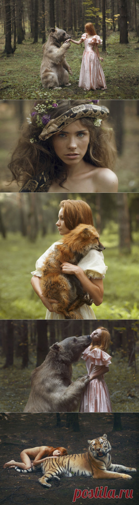 очаровательные портреты с НАСТОЯЩИМИ дикими животными!