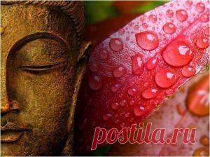 Три системы регуляции состояния организма