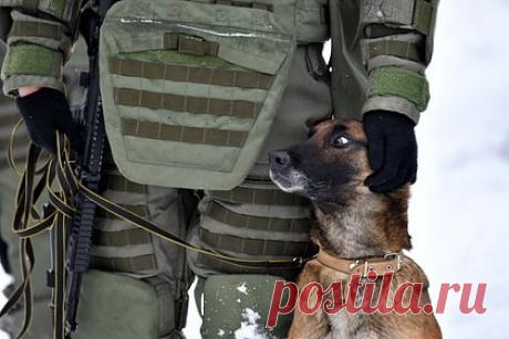 В ЛНР обнаружили схрон со взрывчаткой. Военный корреспондент Андрей Руденко рассказал, что в одном из населенных пунктов Луганской народной республики обнаружили схрон с самодельным взрывным устройством, установленным в неизвлекаемое положение и состоящим из 120-миллиметровых мин, общей массой около 20 килограммов в тротиловом эквиваленте.