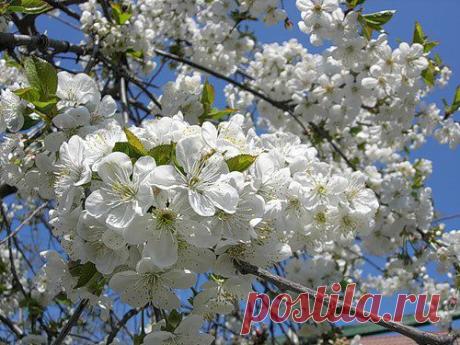•●•❤ Таня ❤•●•
33 года, Россия, г. Людиново (Людиновский район)
все её фото