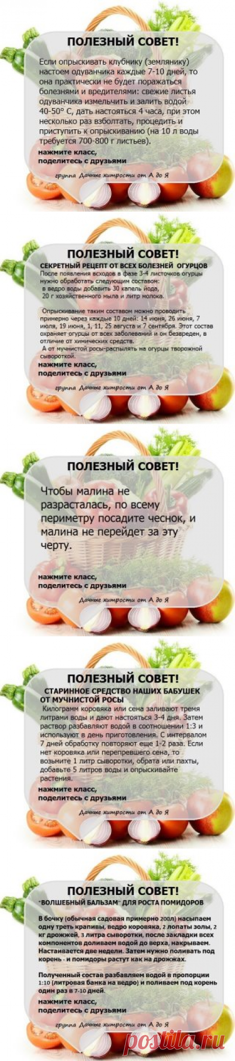 (7) Одноклассники