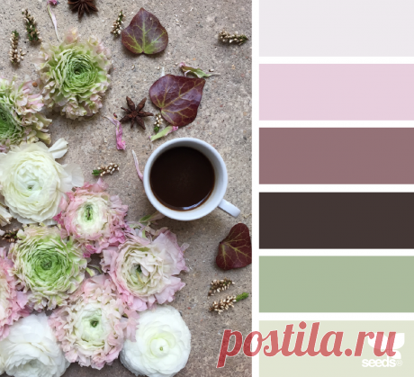 design seeds | arranged tones | for all who ♥ color