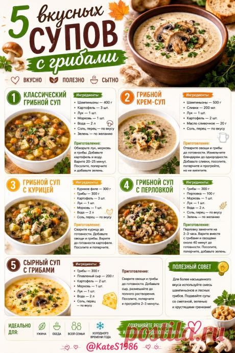 5 вкусных супов с грибами