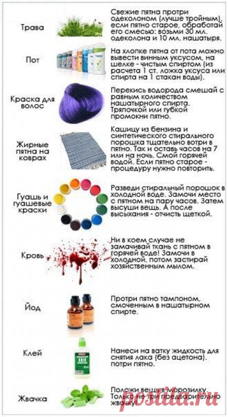 Советы хозяюшке в картинках.