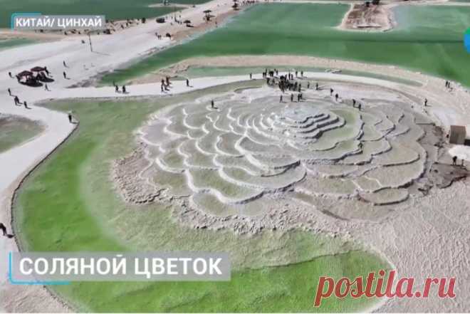 Огромный соляной цветок «расцвел» в Китае В Китае «распустился» огромный соляной цветок. Это природное явление можно наблюдать на озере Кархан, сообщает «МИР 24». Это не просто водоем, а гигантская соляная пустыня. Белоснежные кристаллы сливаются с горизонтом и создают причудливые узоры. Это крупнейшее в Китае соленое озеро....