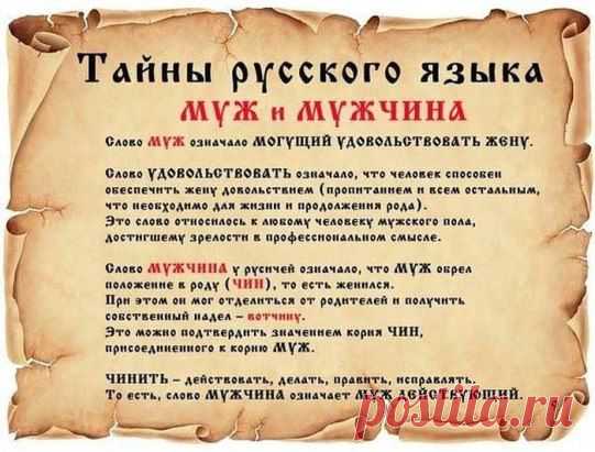 (1) Одноклассники