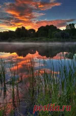 sunrise Search on Indulgy.com