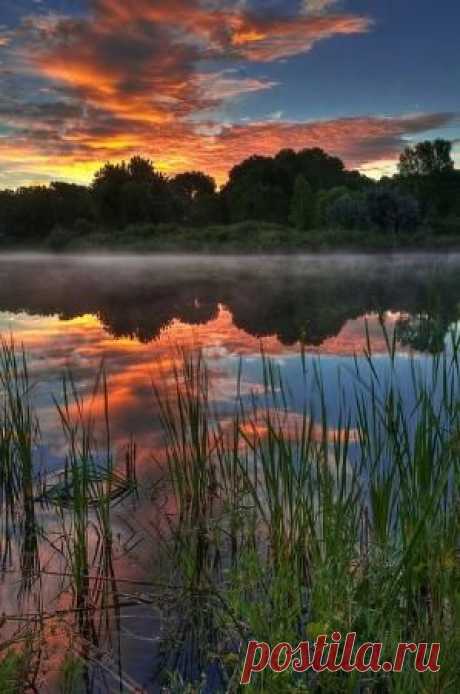 sunrise Search on Indulgy.com