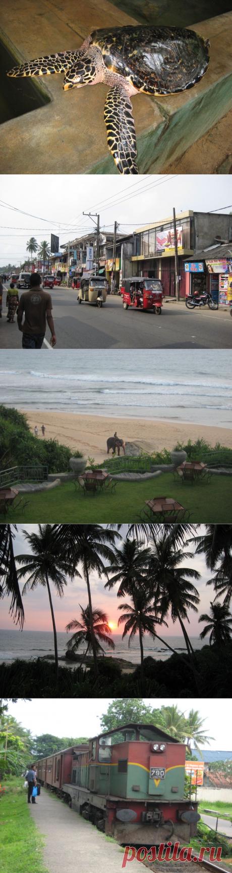 &amp;#171;Черепаший остров&amp;#187; Шри-ланка