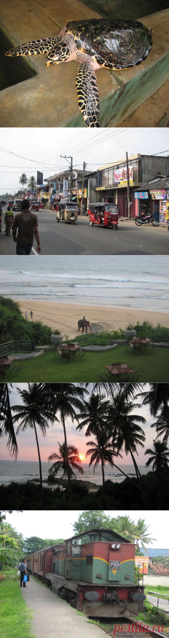 &#171;Черепаший остров&#187; Шри-ланка
