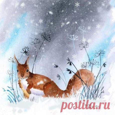 Нежные и трогательные акварели Rachel McNaughton