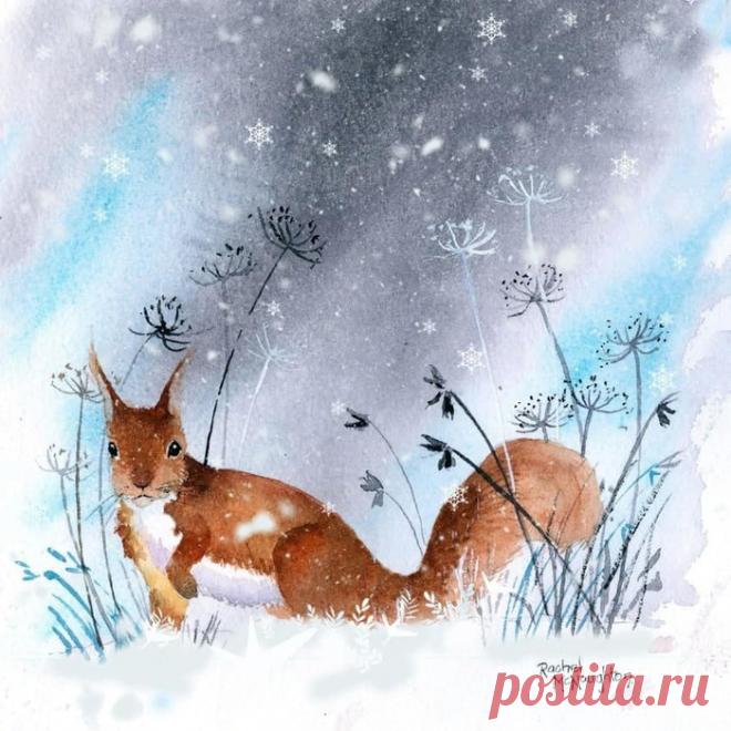 Нежные и трогательные акварели Rachel McNaughton