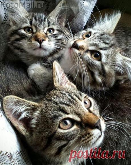 Маленькие да удаленькие!