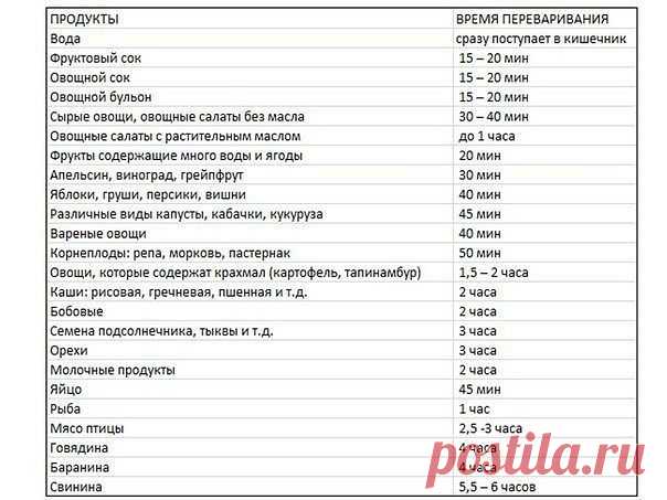 ⓵ ВРЕМЯ ПЕРЕВАРИВАНИЯ ПИЩИ В ЖЕЛУДКЕ ЧЕЛОВЕКА