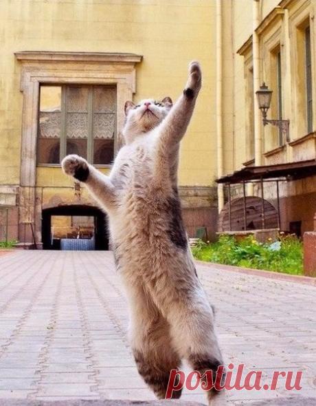 (80) Мой Мир@Mail.Ru