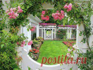 ЦВЕТОЧНЫЕ СПЕЦЭФФЕКТЫ ДЛЯ САДА!