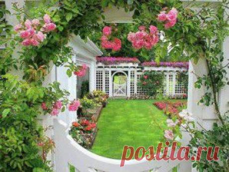 ЦВЕТОЧНЫЕ СПЕЦЭФФЕКТЫ ДЛЯ САДА!