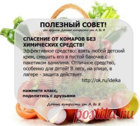 (8) Одноклассники